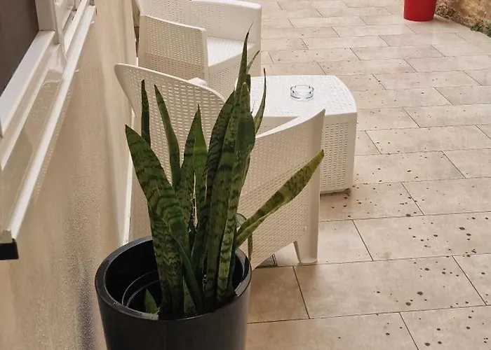 In Front Of The Sea O'clock Malta B&B Sliema